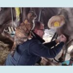 Tierarzt-Ostallgaeu-Galerie (11)