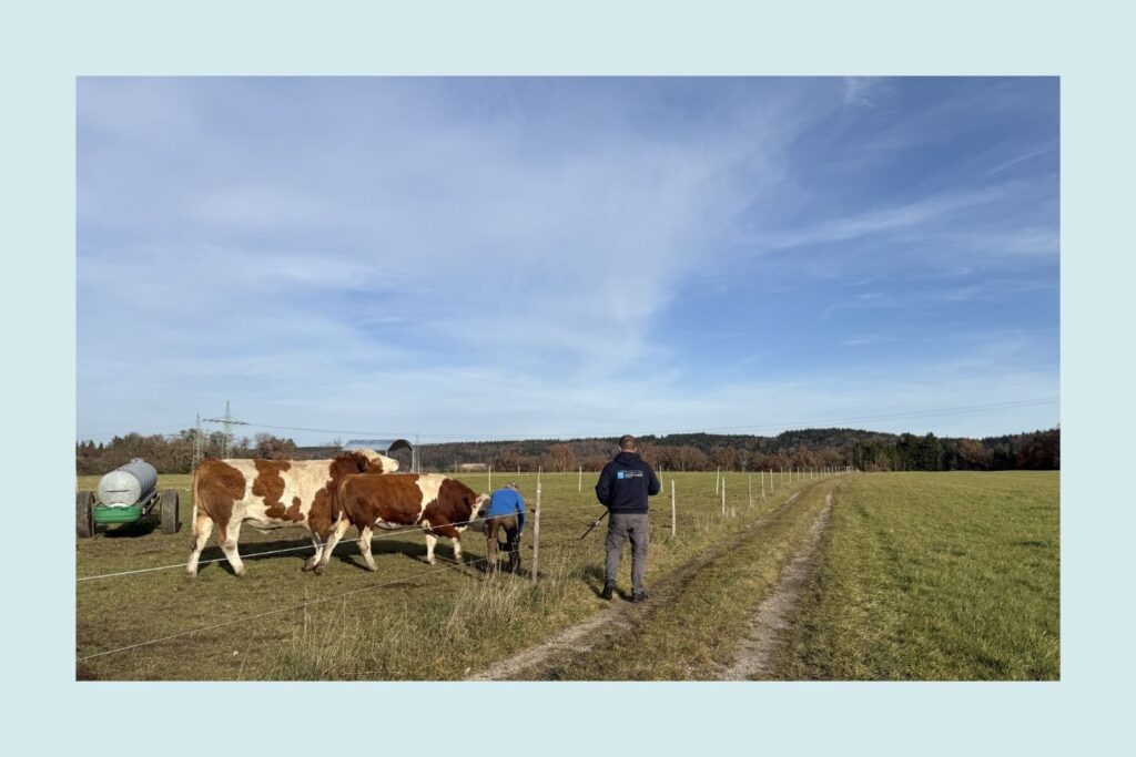 Tierärzte im Ostallgäu bei der Feldarbeit