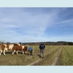 Tierarzt-Ostallgaeu-Galerie (2)