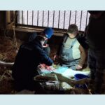 Tierarzt-Ostallgaeu-Galerie (9)