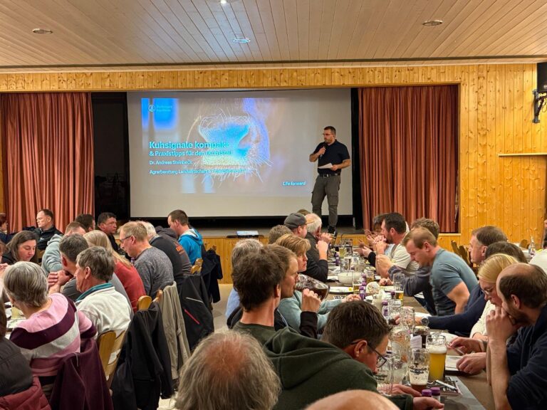 3. Ostallgäuer Rinderabend