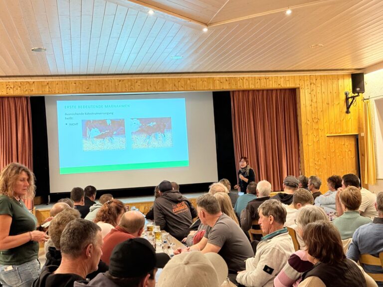 Rinderabend: Ein gelungener Abend rund ums Rind